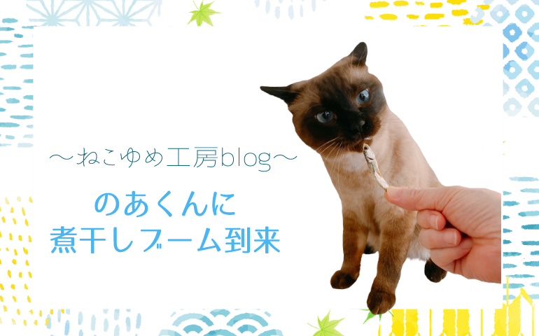 のあくんに煮干しブーム到来