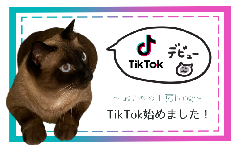TikTok始めました！
