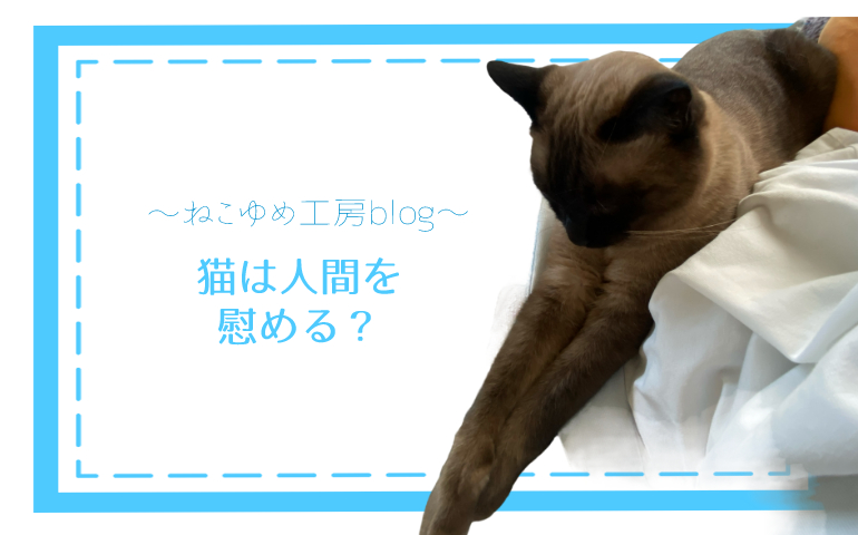 猫は人間を慰める？