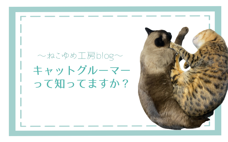 キャットグルーマーって知ってますか？
