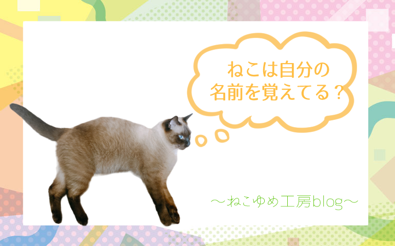猫は自分の名前を覚える？