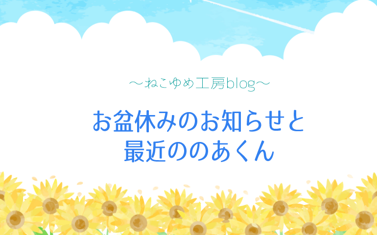 お盆休みのお知らせと最近ののあくん