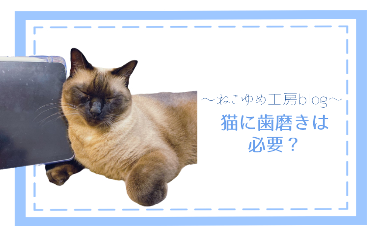 猫に歯磨きは必要？