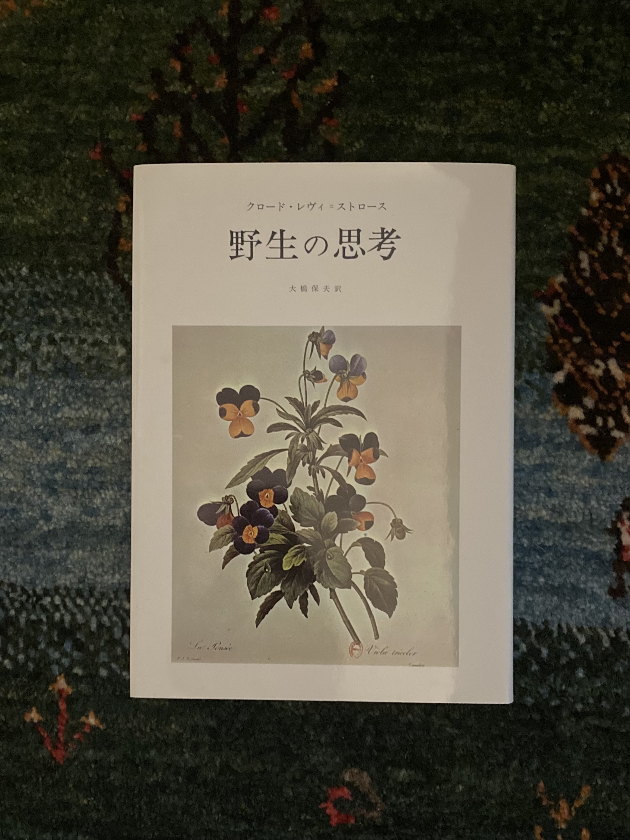 「野生の思考」