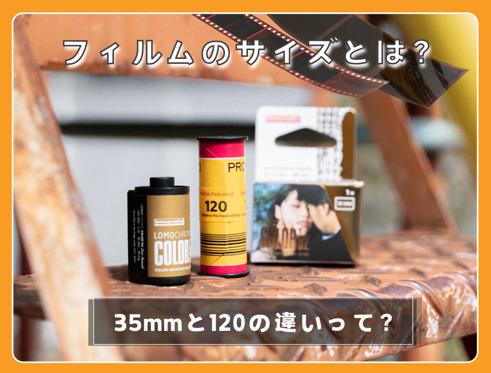 【初心者必見】フィルムのサイズとは？35mmと120フィルムの違いについて