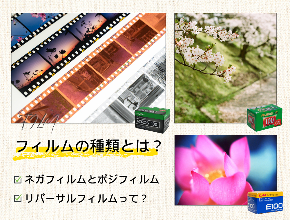 【ブログ更新】フィルムの種類とは？ネガやリバーサル。ポジフィルムって？