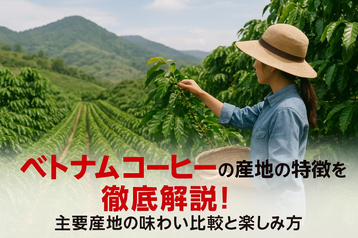 ベトナムコーヒーの産地の特徴を徹底解説｜主要地域の味わい比較とおすすめの楽しみ方紹介