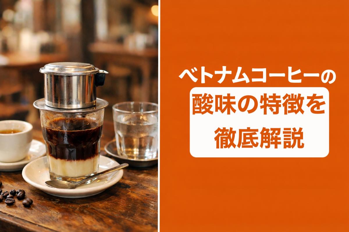 ベトナムコーヒーの酸味の特徴を徹底解説｜苦味やコクとの違い・豆の選び方・基本の淹れ方もわかる