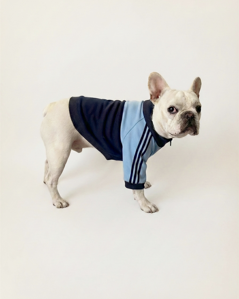 フレブルのワンちゃん用のジャージをリリースします。