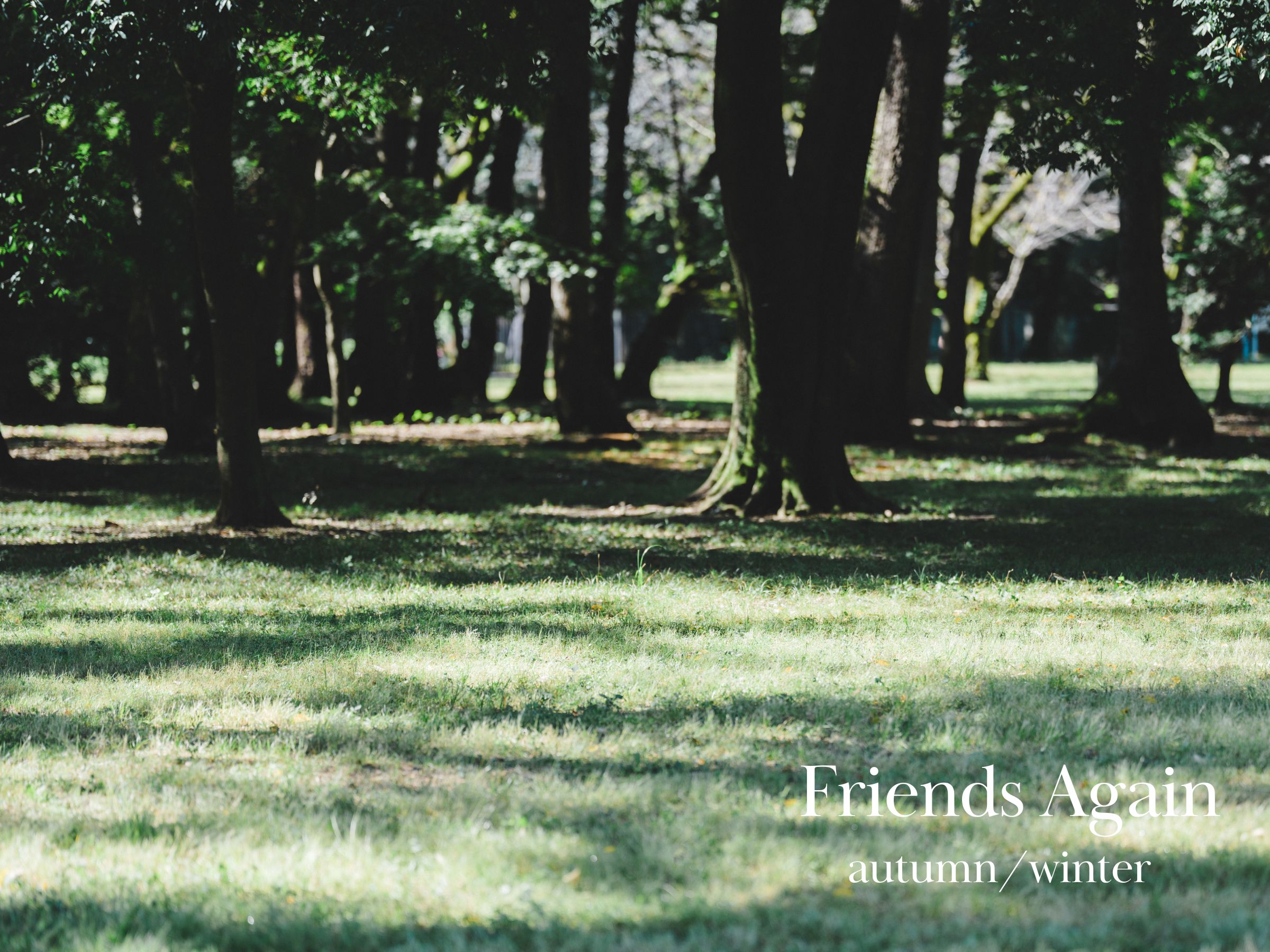 autumn/winter collection