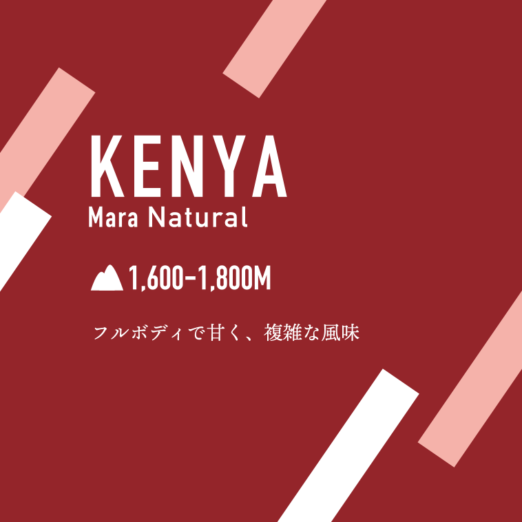 おうちで楽しむ　マサイマーラの自然が織りなす、心温まる一杯