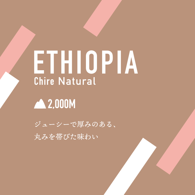 おうちで楽しむ　遠い国の風を感じる珈琲豆