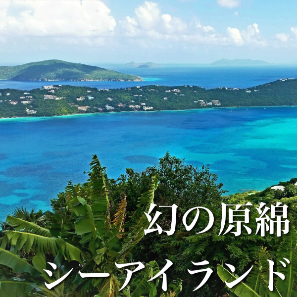 使用している生地について