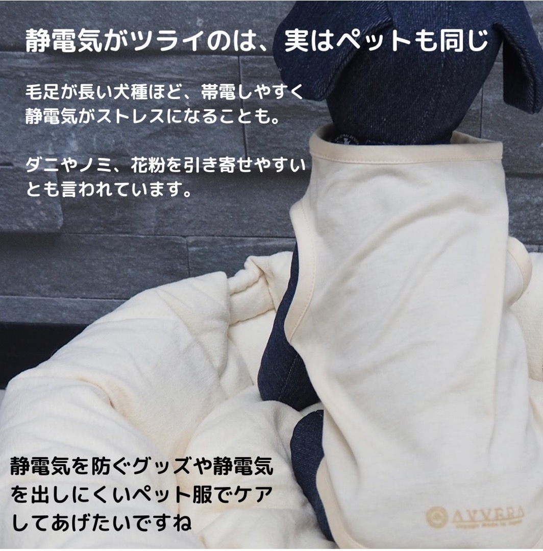 「その不調、“体質”で片付けていませんか？」