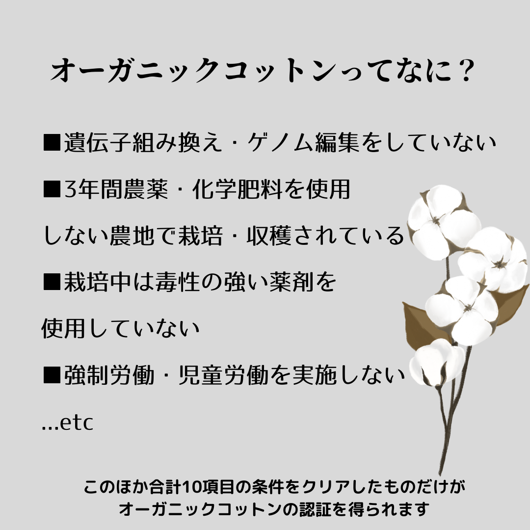 そもそもオーガニックコットンってなに？？？