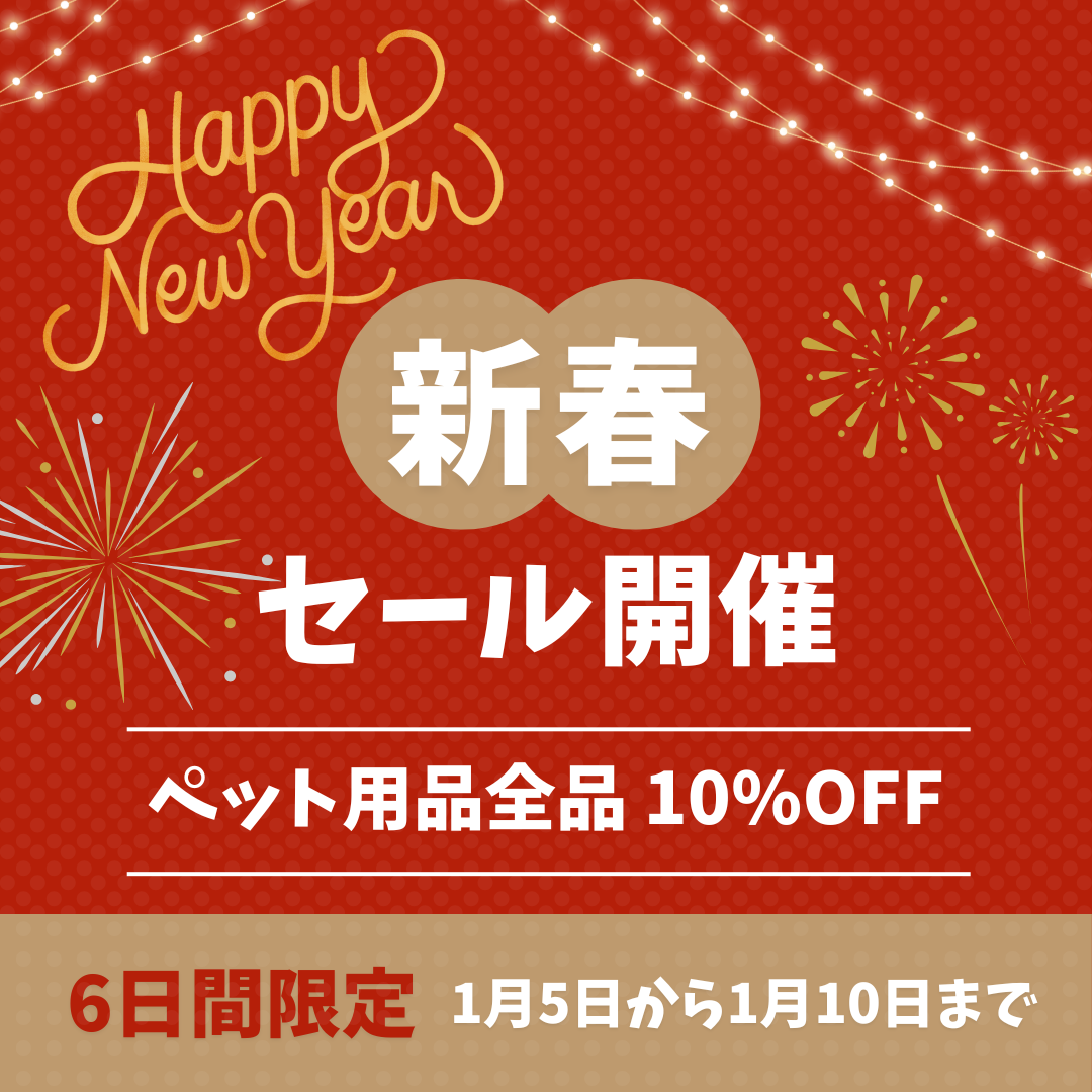 新春セールクーポン！