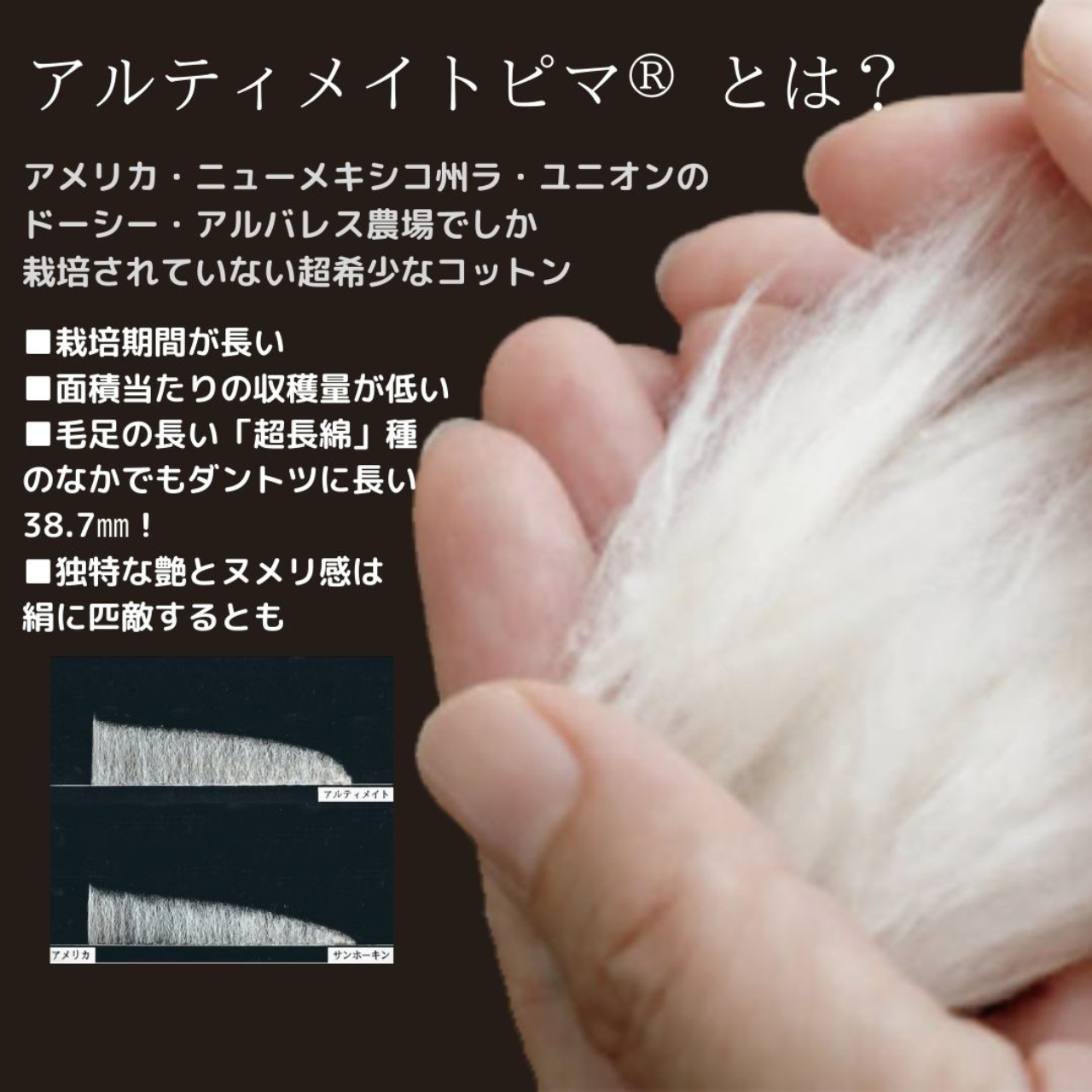 コットンの宝石　～アルティメイトピマ～