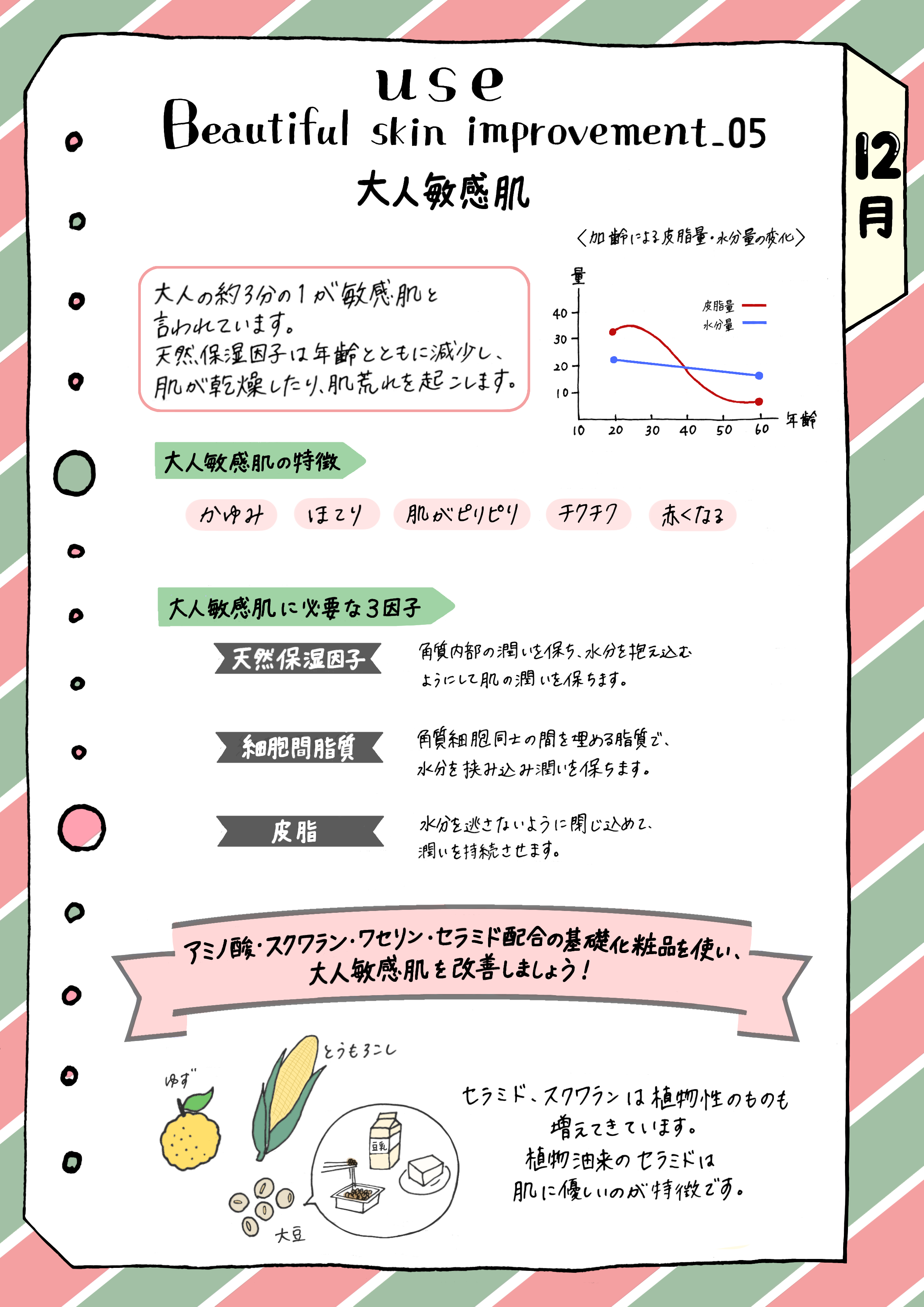 【12月】大人敏感肌