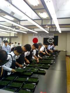 京都府茶品評会審査会