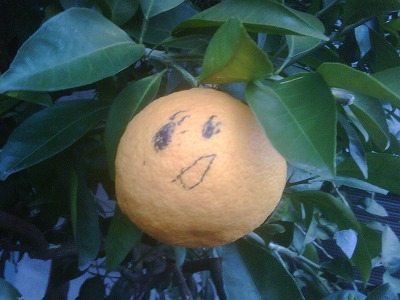 Smile
