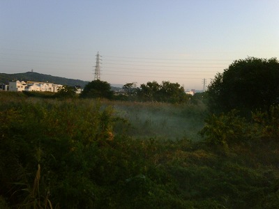 朝靄