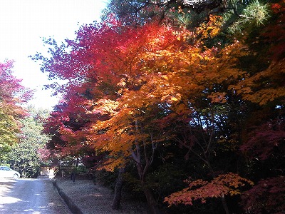 茶道経国