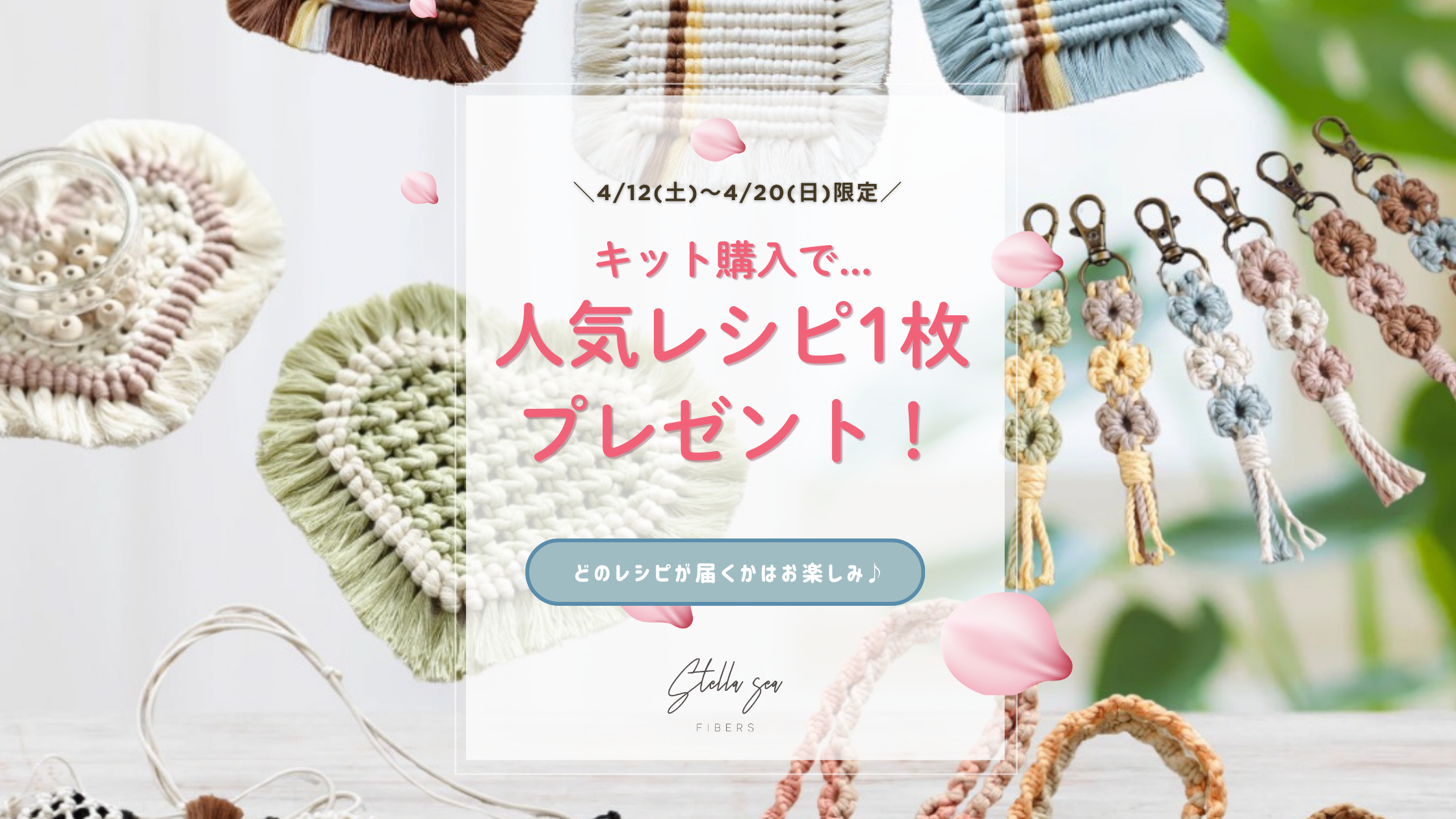 BLOG | Stella Sea Fibers