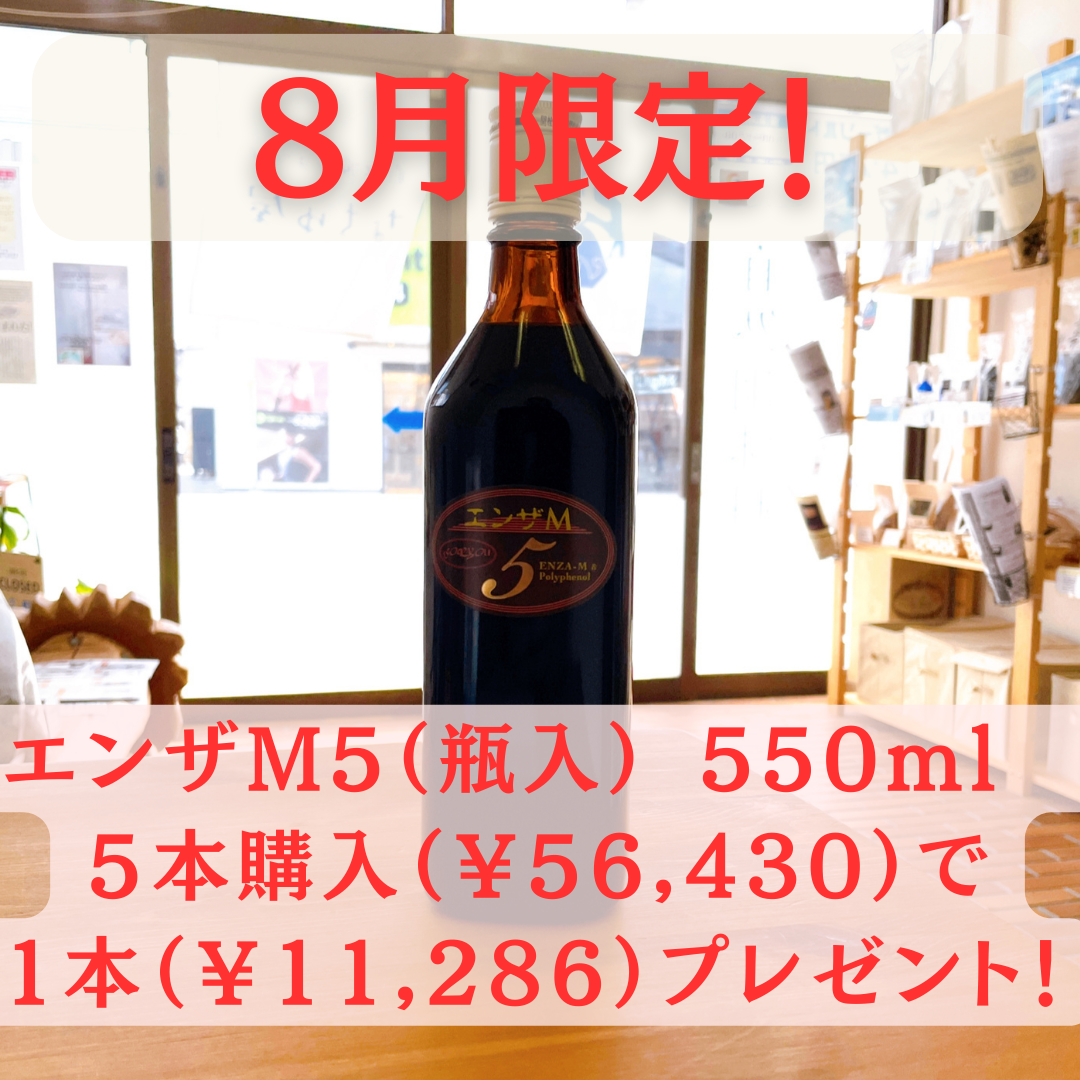 8月限定ですよ‼️