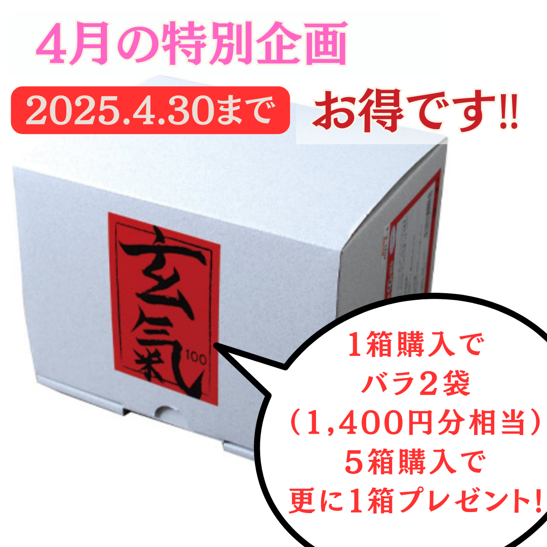 🌱 かぼちゃの種オイル＆玄氣100で、毎日手軽に健康ケア！ ✨