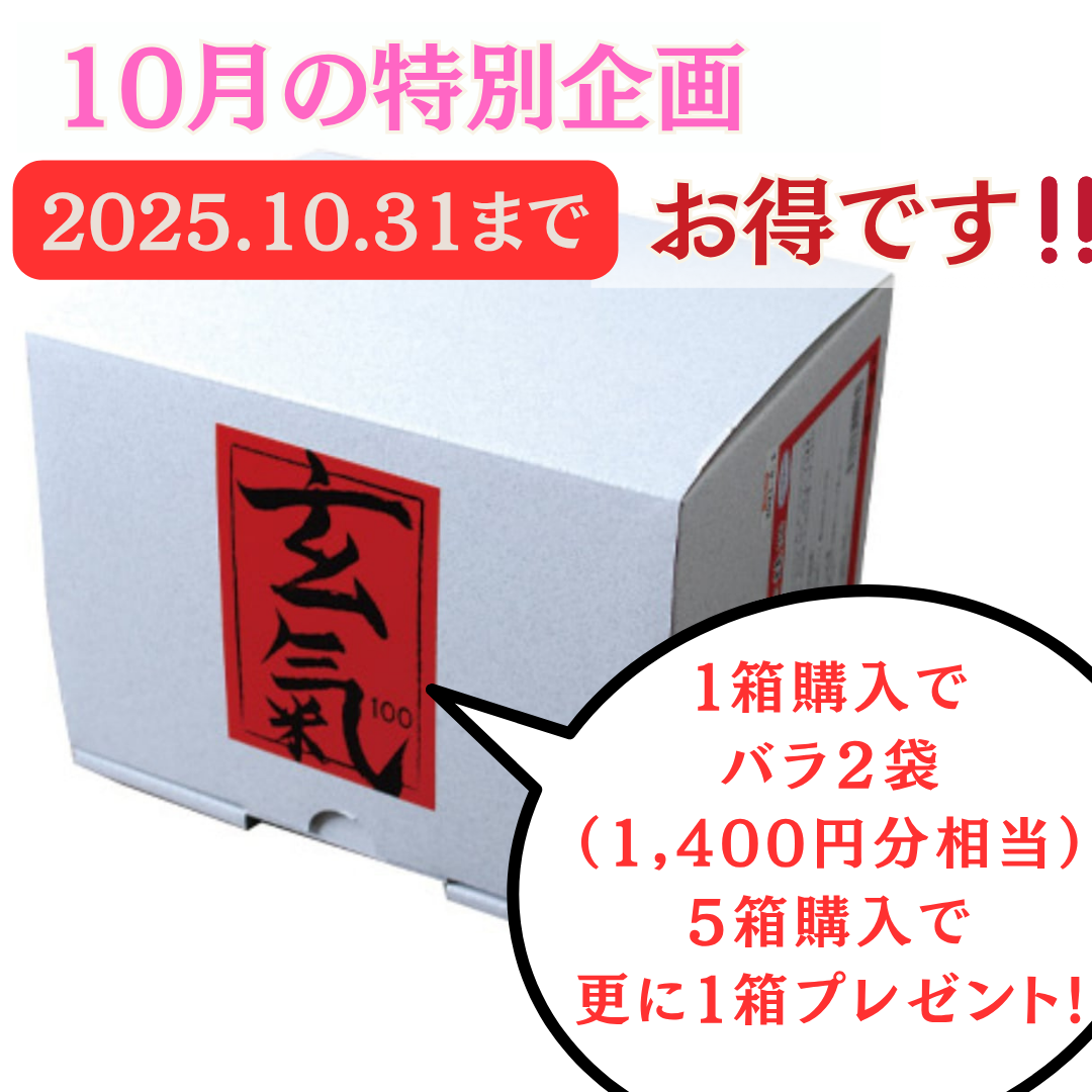 🍂10月限定キャンペーンのお知らせ ~発酵の力と軟骨成分で元気な秋を~