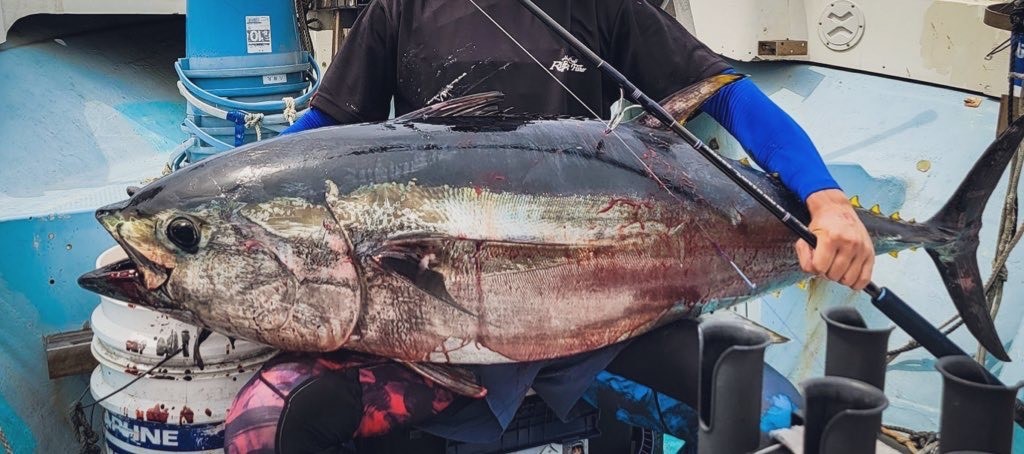 パワフルすぎる釣果報告