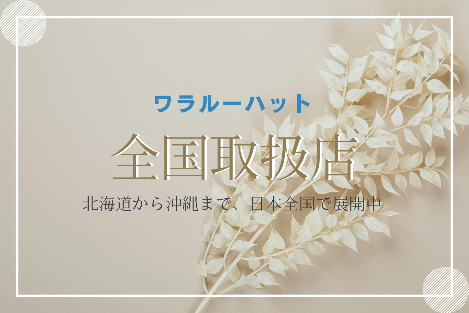 全国の取扱店一覧