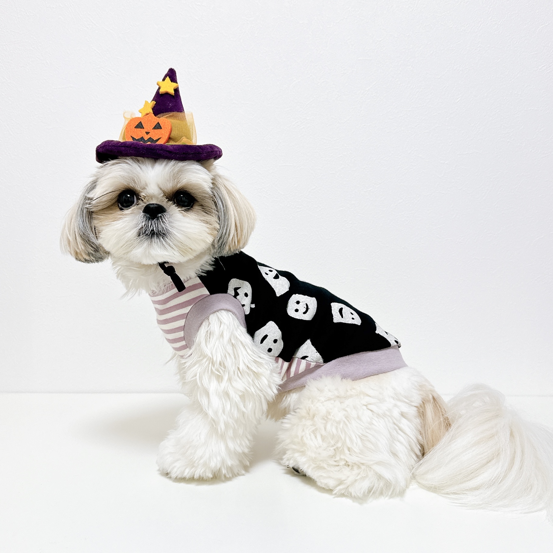 SALE❣️ハロウィンおばけシリーズ🎃👻🍬