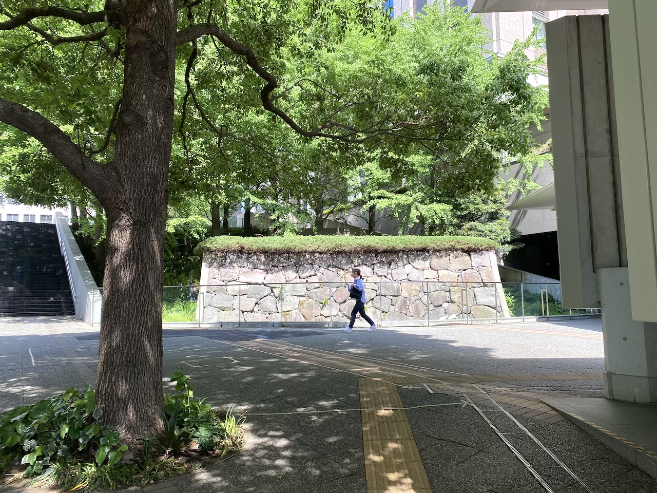 虎ノ門〜霞ヶ関エリアにリサーチに行ってきました。