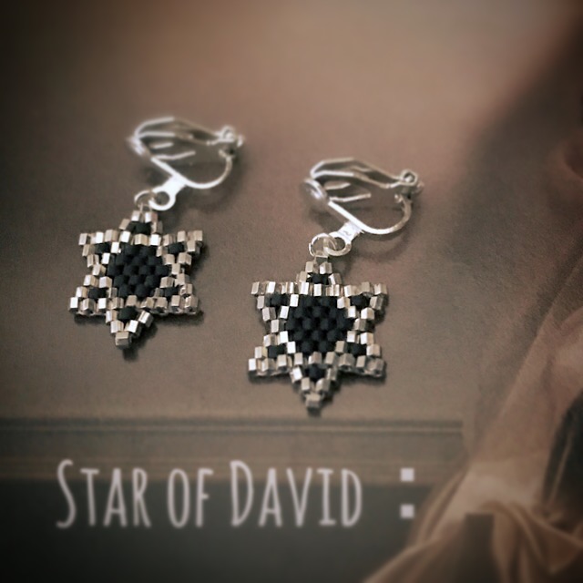 Star of David：pierce & earring