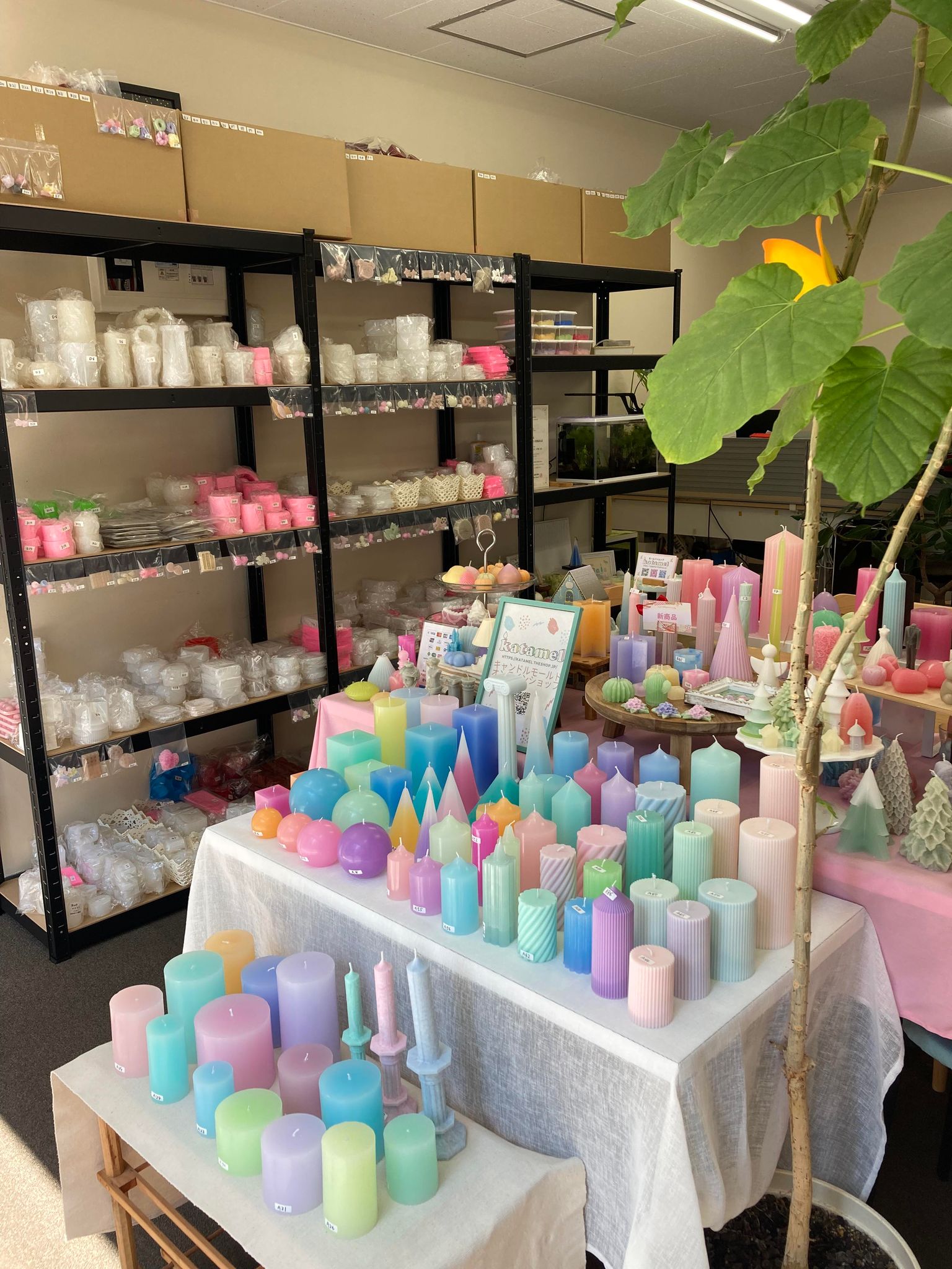 実店舗をオープンいたしました！😊