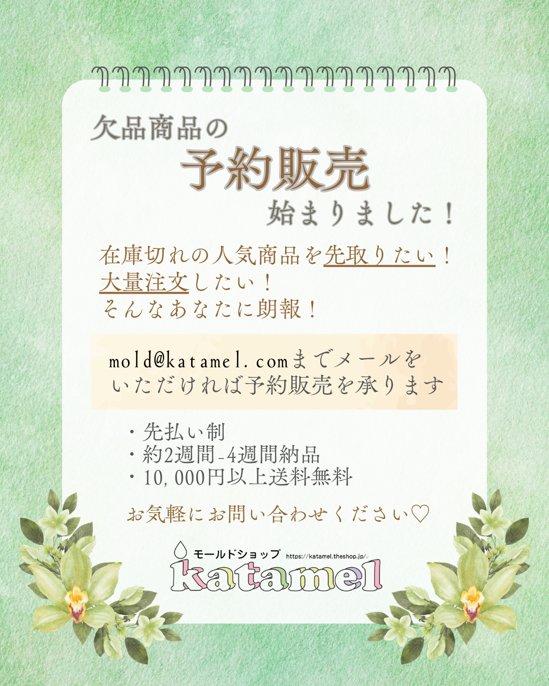 ✨欠品商品の予約販売始まりました✨