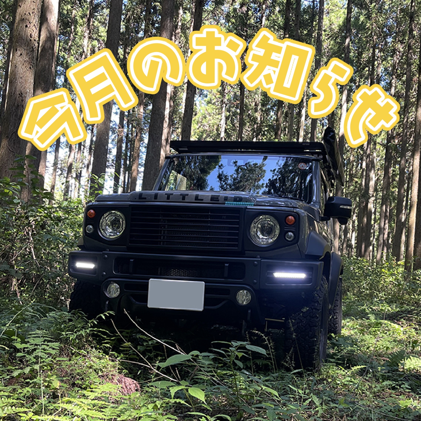 🌅🎍新年のご挨拶🎍🌅