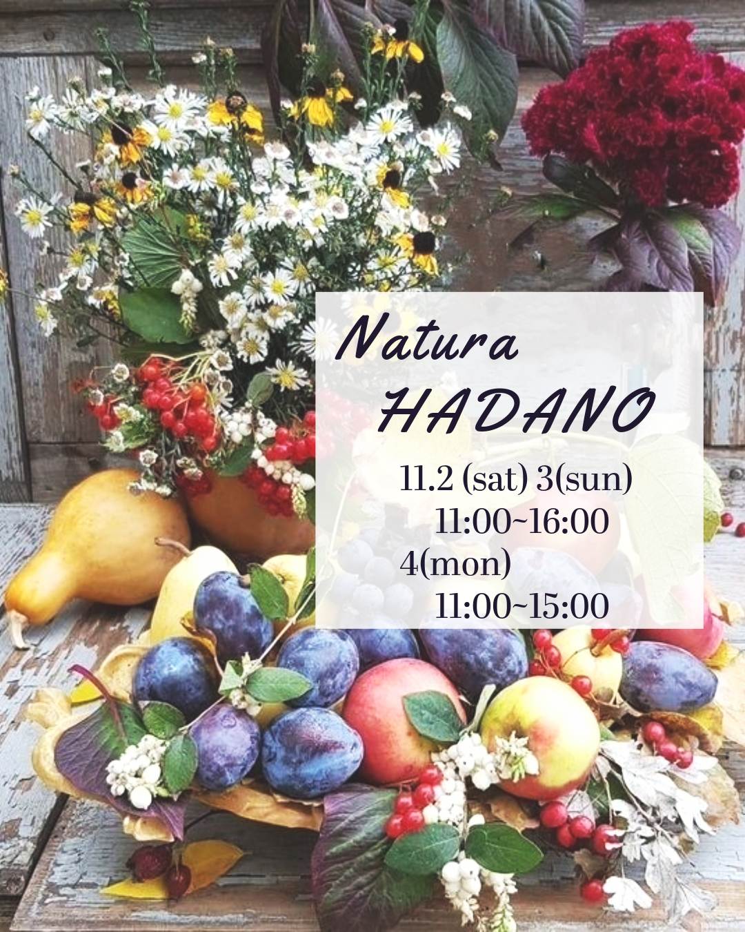 Natura Hadano Popup Store
