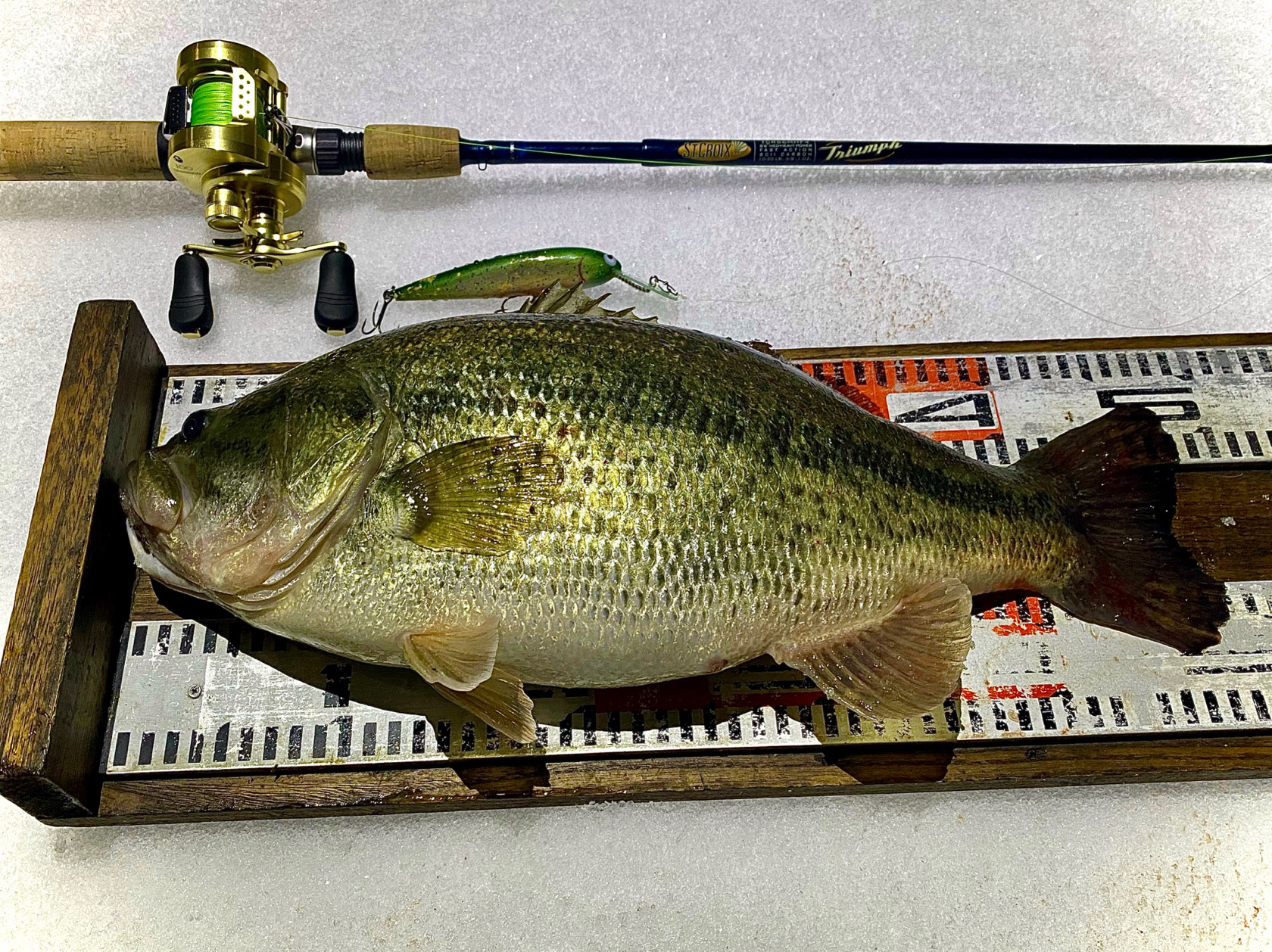 weepのデッドスロー