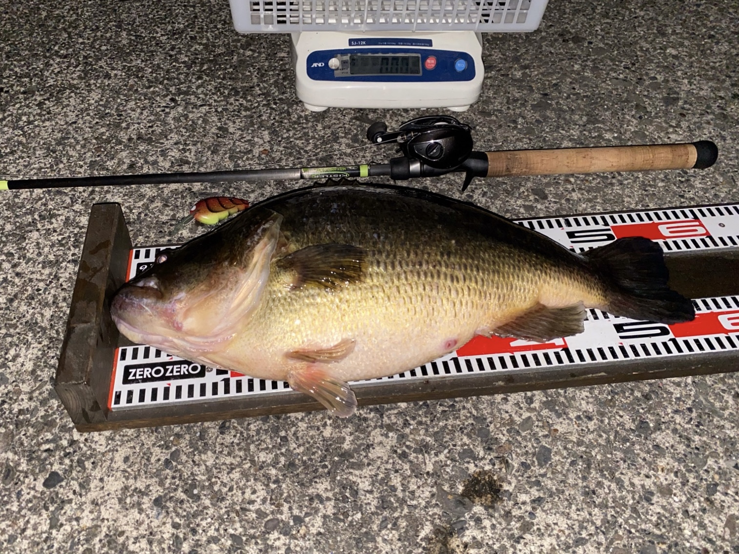 10kgオーバーかゼロか