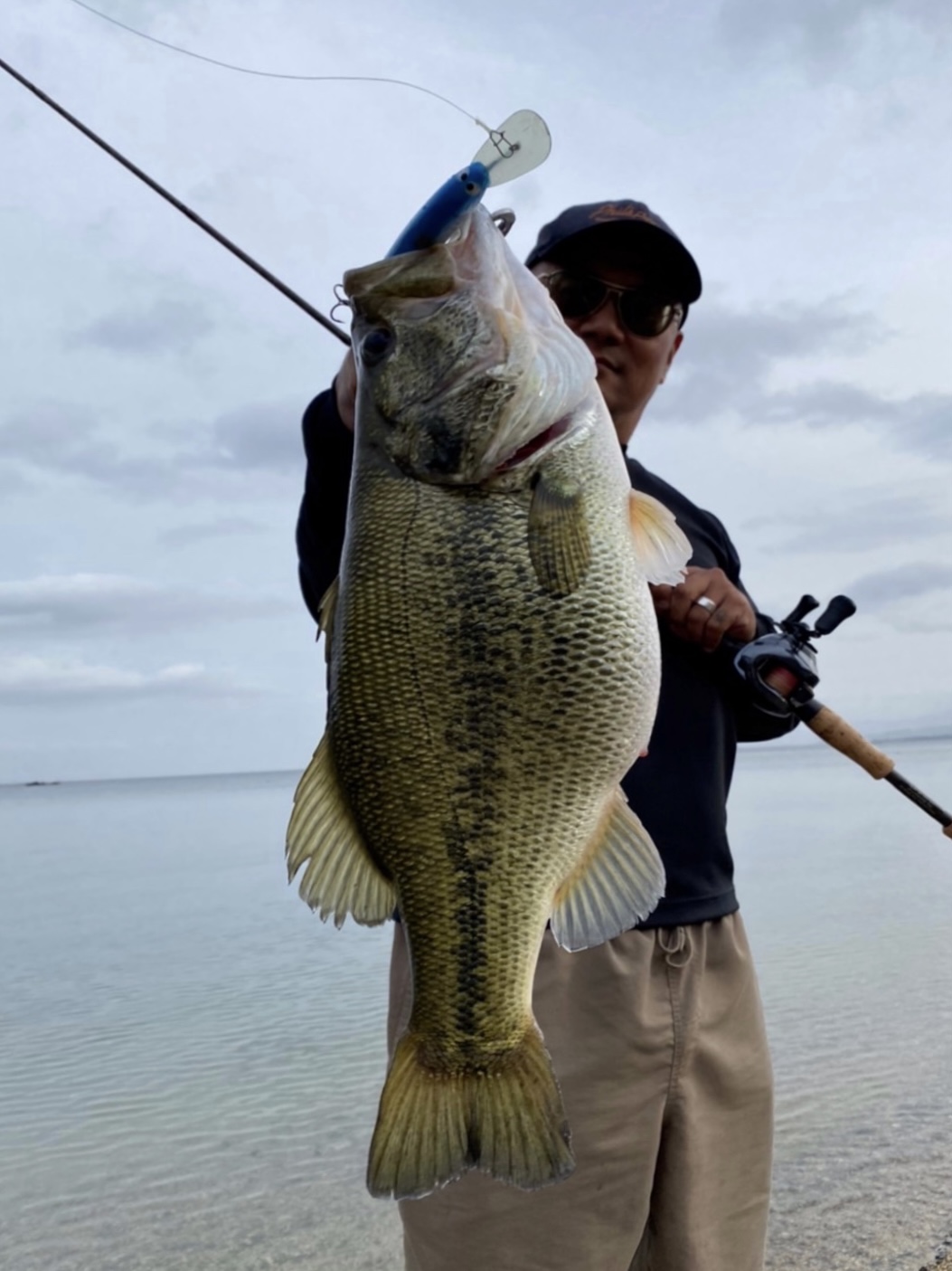 NOサーチ　当日しか行けない方へ