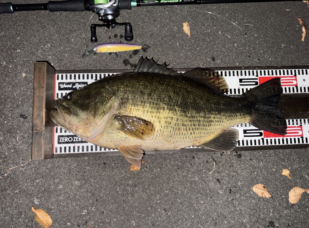 ZEROZERO weep チャート ブログ App 設定 | BASE