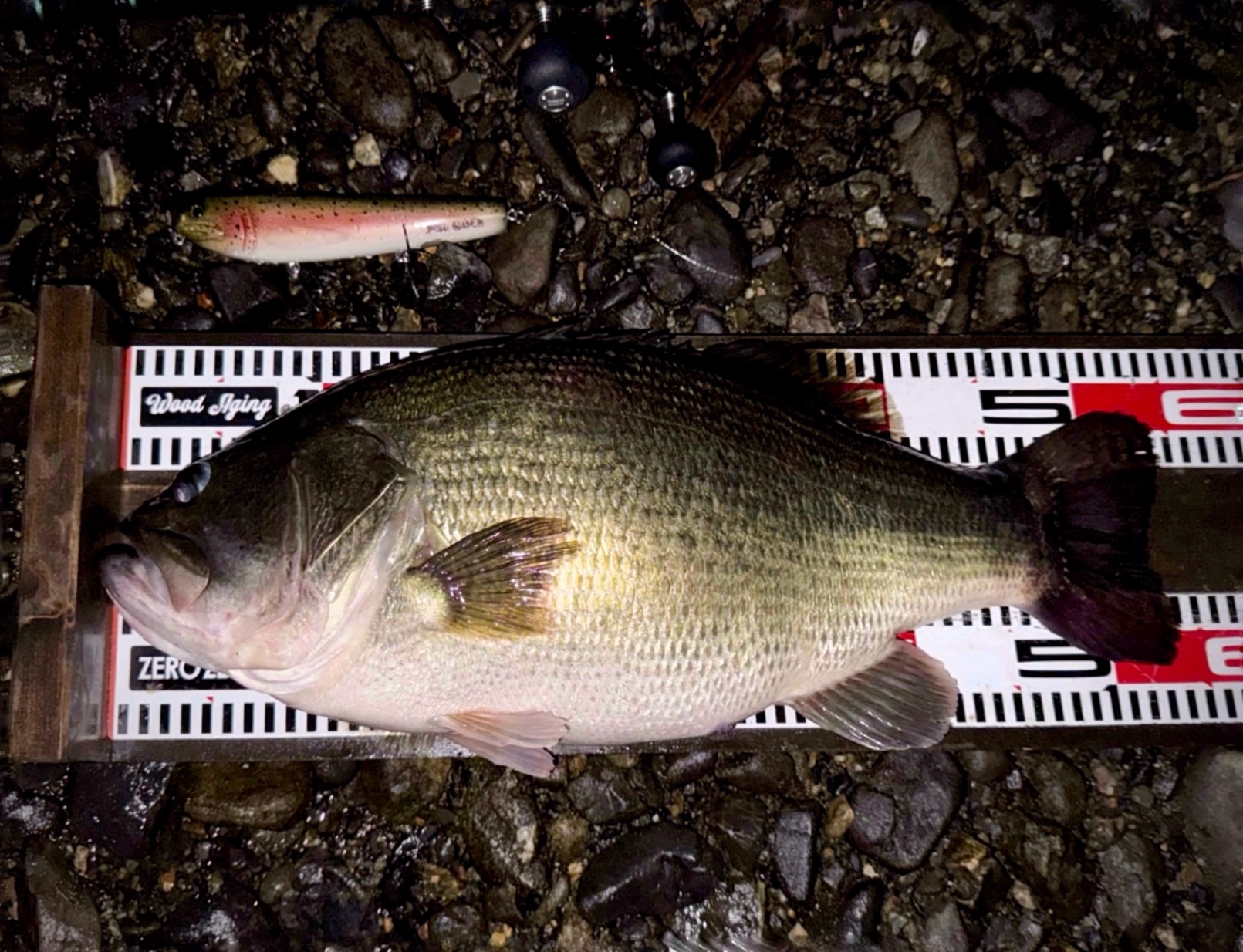 ボルスライダーのポイント