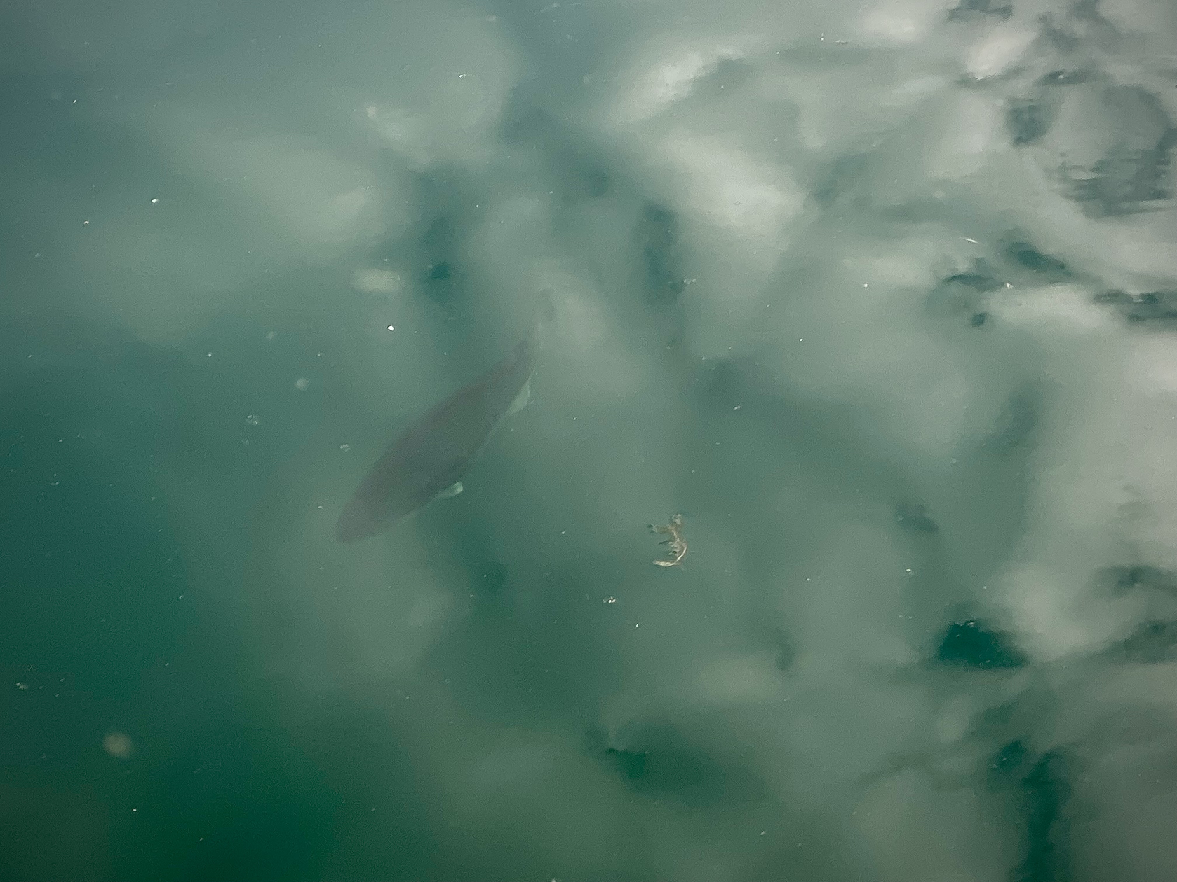 11月のXdayを終えて