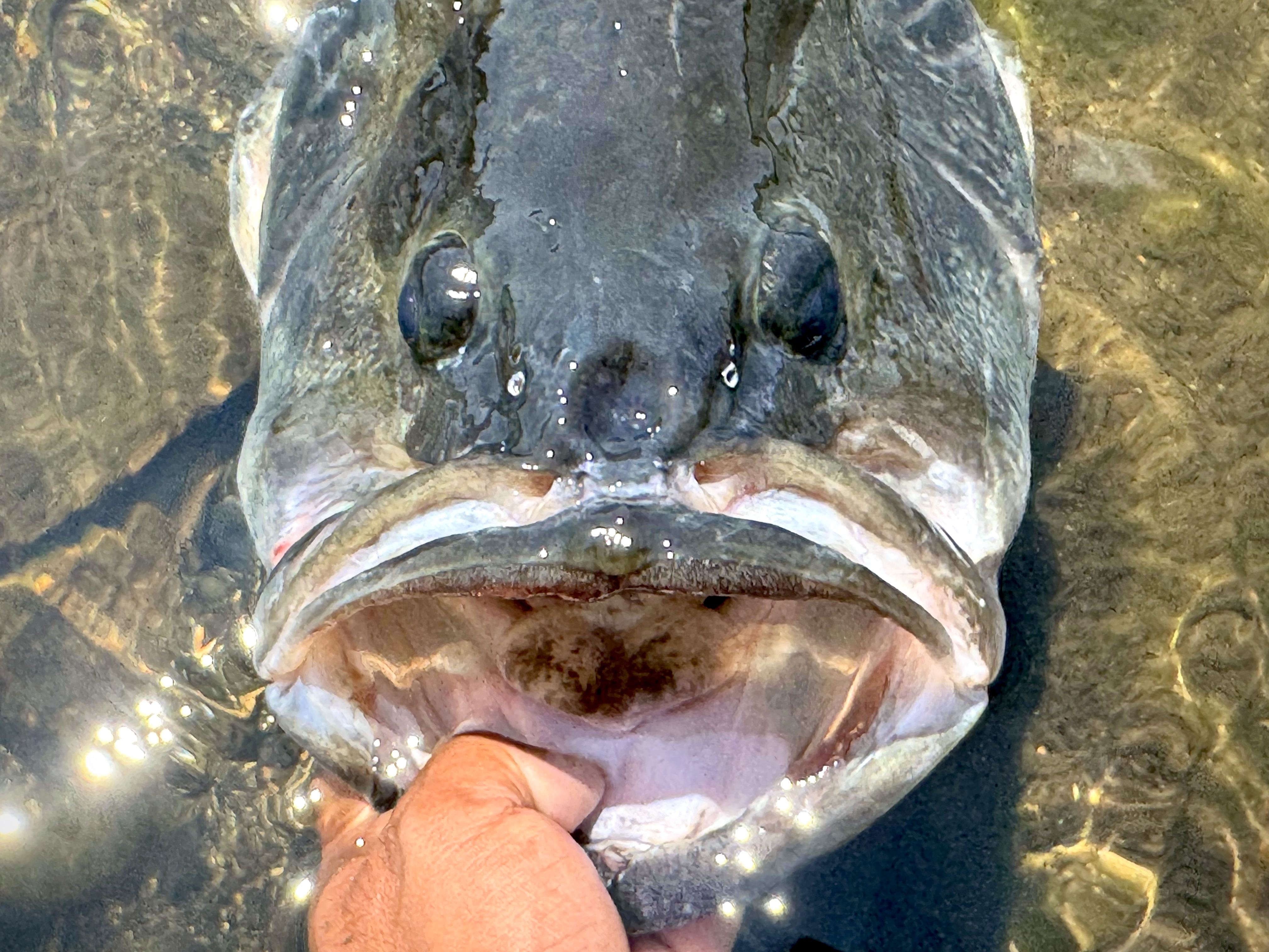 ビッグペンシル×琵琶湖