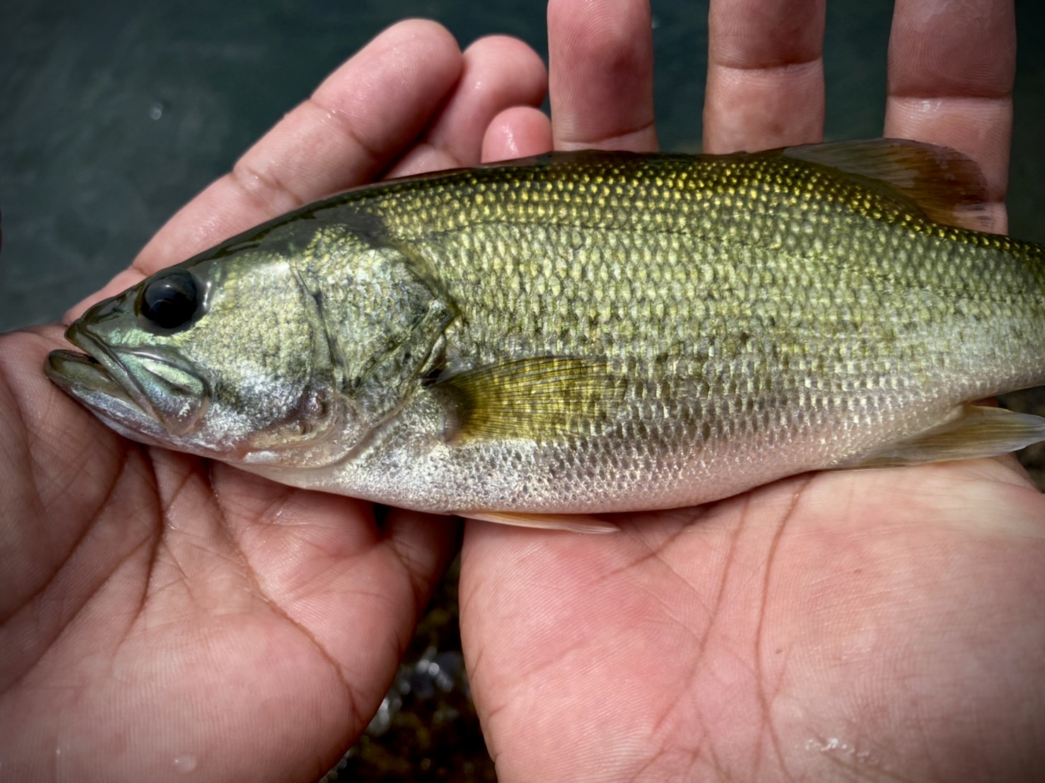過去と未来をサーチ