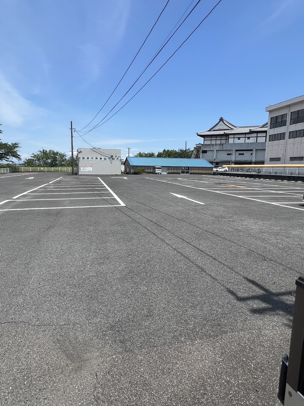 大江川試投会