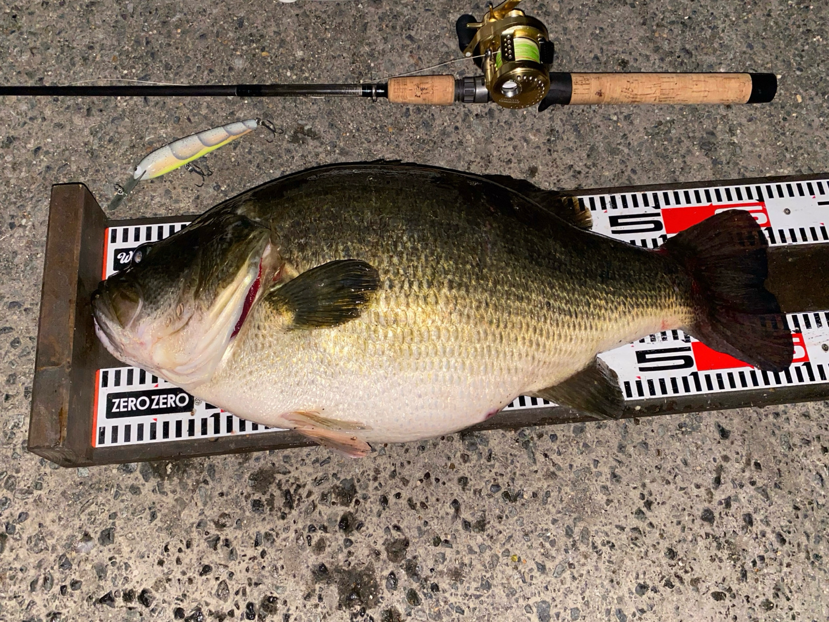 相次ぐスーパーB血統