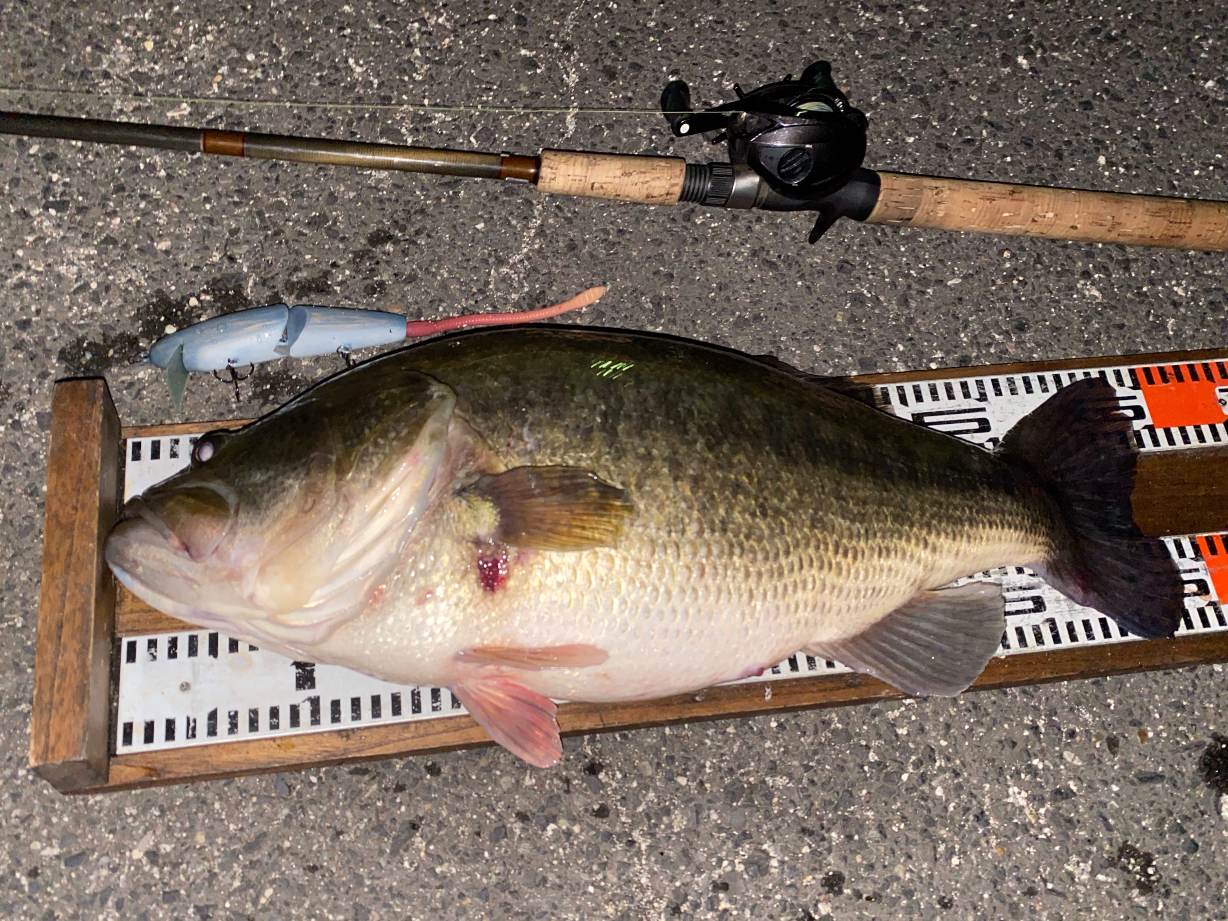 真冬のラットゲーム